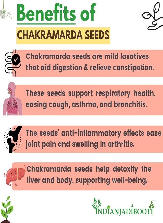 IndianJadiBooti Puwar Seeds (Cassia Tora) | Chakramarda Beej | Panwar | Natural Ayurvedic Herb for Skin Wellness & Detox | Whole Dried Seeds | 250 Grams - Image 3